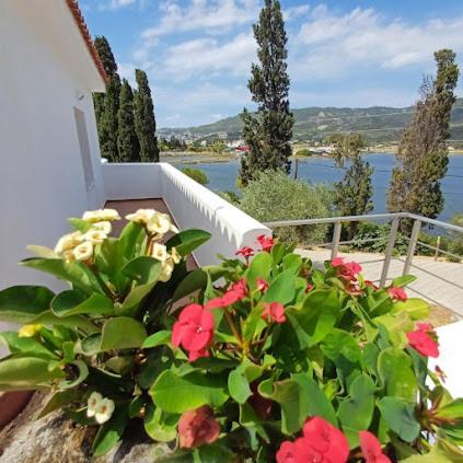Skiathos Lagoterra Apartments Eksteriør bilde